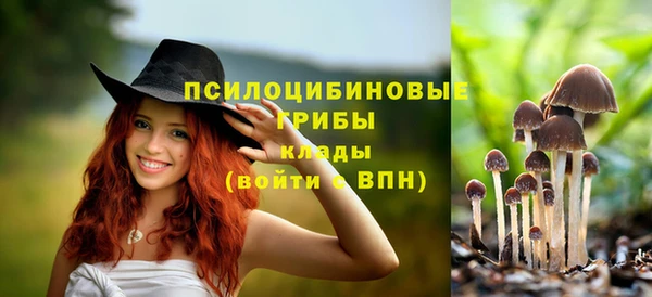кокс Абаза