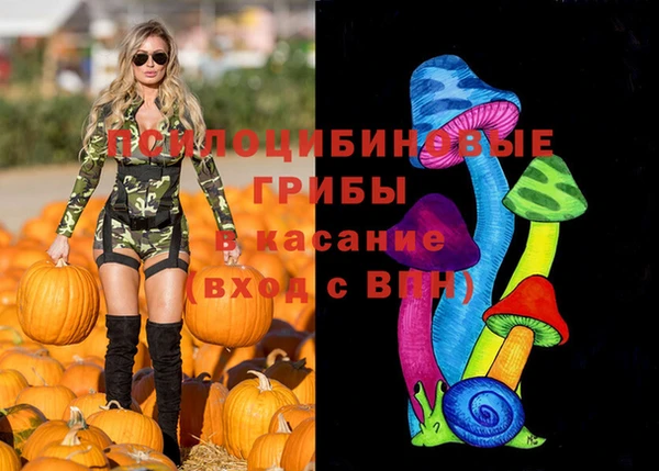 спиды Абинск