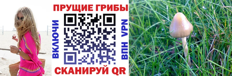 Псилоцибиновые грибы ЛСД Копейск