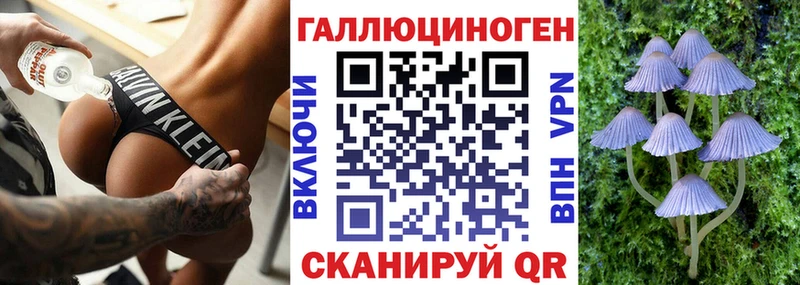 дарнет шоп  Копейск  Галлюциногенные грибы Magic Shrooms 