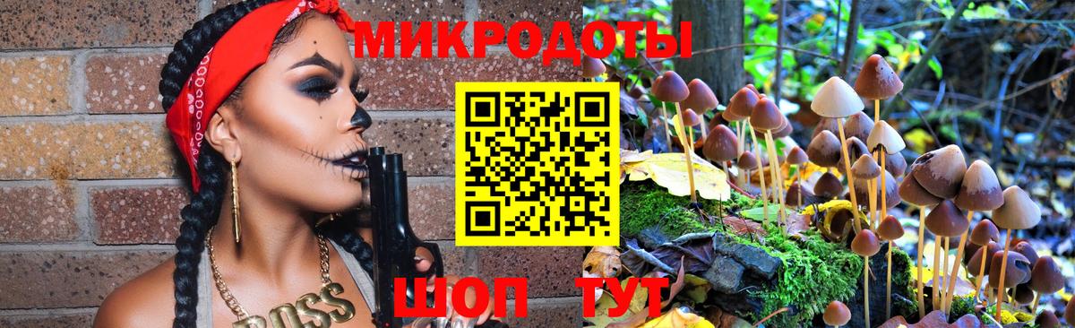 Галлюциногенные грибы Psilocybine cubensis  Вход с VPN  Копейск 
