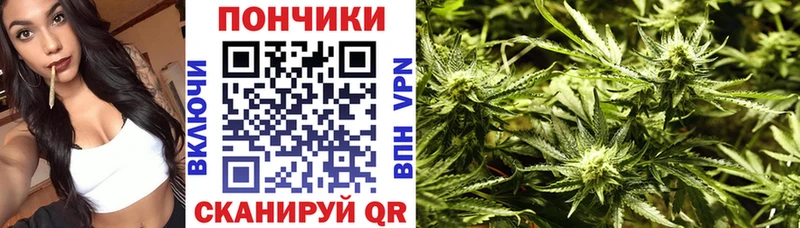 где можно купить   МЕГА как войти  Конопля семена  Копейск 